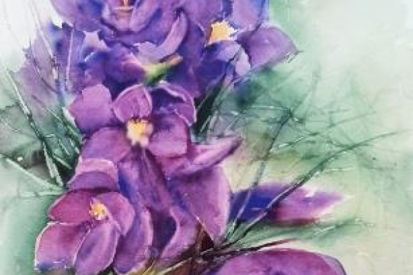 flores-moradas87E1AB27-4BFD-1821-472B-3C70F440F4D0.jpg