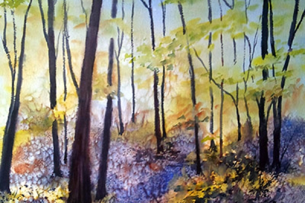 paisaje1794351213-22B0-1A9B-9609-3C2208EB3EEC.jpg